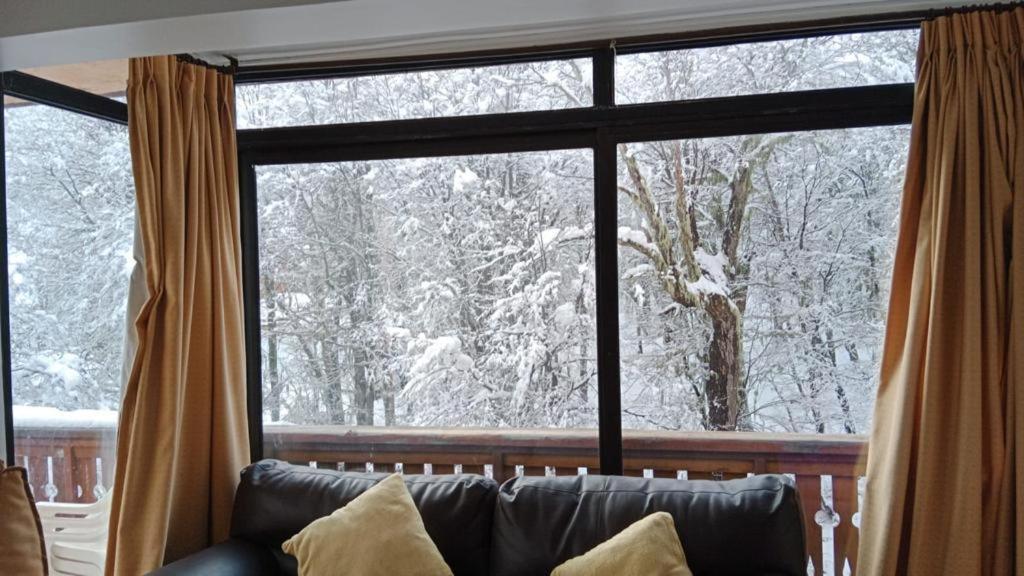 דירות Nevados de Chillan Departamentos Termas De Chillan מראה חיצוני תמונה